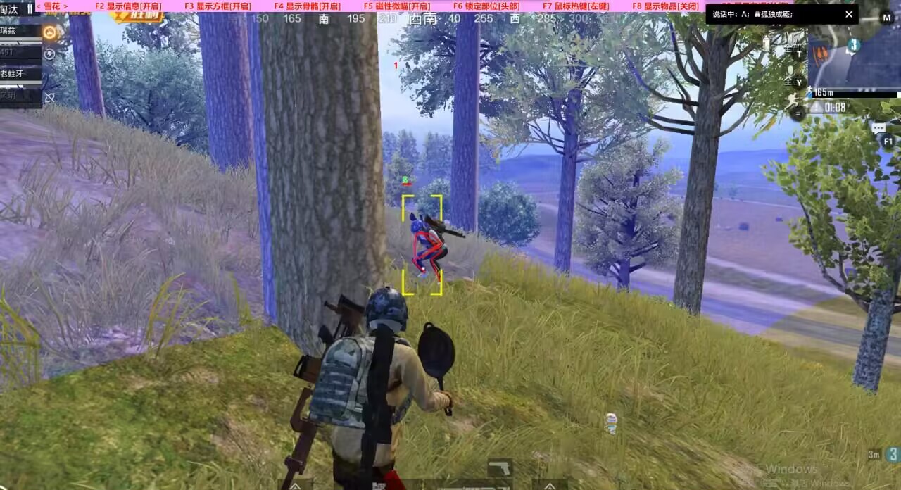 深入了解和平精英辅助现象:技术创新与社会影